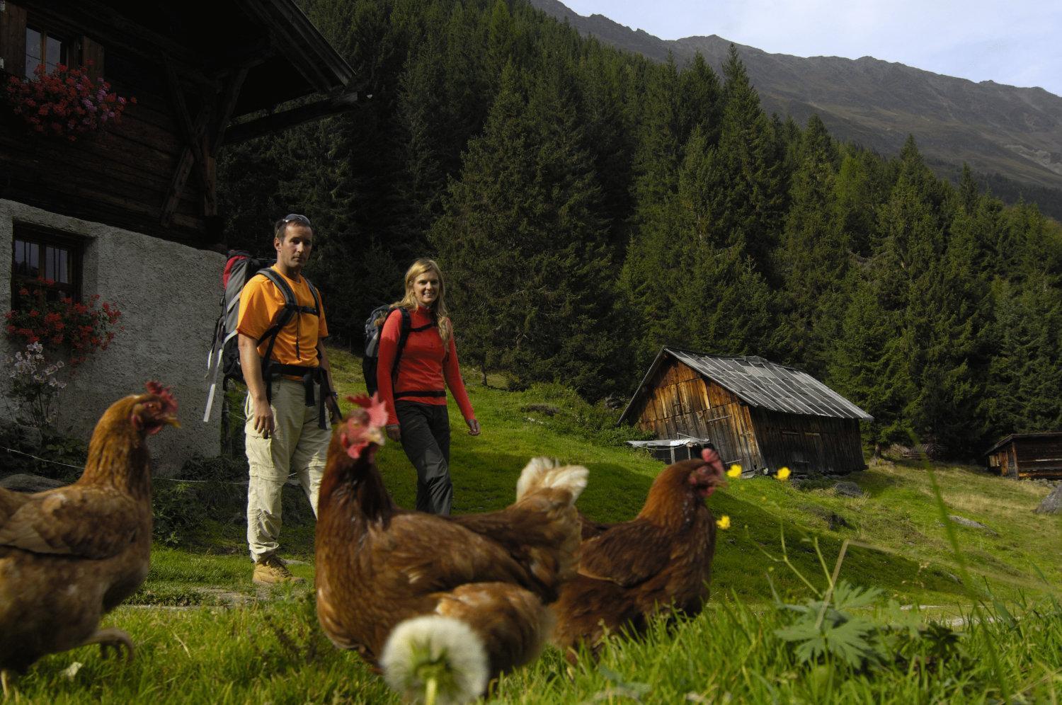 Aparthaus Camping Stubai Neustift im Stubaital Exterior photo